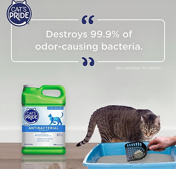 Cat's Pride New Antibacterial Odor Scented Clumping Clay Cat Litter, 12-lb jug