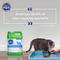 Show in main carousel: Cat's Pride Antibacterial Lightweight Clumping Cat Litter, 12-lb jug slide 6 of 10