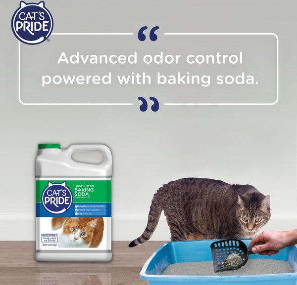 Show full view: Cat's Pride Baking Soda Lightweight Unscented Clumping Clay Cat Litter, 10-lb jug slide 6 of 9