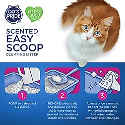 Cat's Pride Easy Scoop Lightweight Scented Clumping Cat Litter, 10-lb jug slide 2 of 8