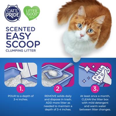 Show full view: Cat's Pride Easy Scoop Lightweight Scented Clumping Cat Litter, 10-lb jug slide 6 of 9