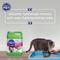 Show in main carousel: Cat's Pride Pure & Fresh Lightweight Fresh Scent Multi-Cat Clumping Litter, 10-lb jug slide 8 of 11