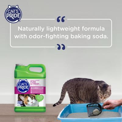 Show full view: Cat's Pride Pure & Fresh Lightweight Fresh Scent Multi-Cat Clumping Litter, 10-lb jug slide 8 of 11