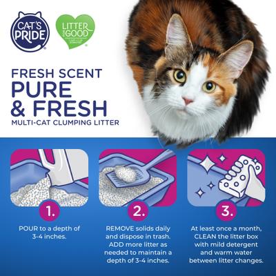 Show full view: Cat's Pride Pure & Fresh Lightweight Fresh Scent Multi-Cat Clumping Litter, 10-lb jug slide 7 of 11