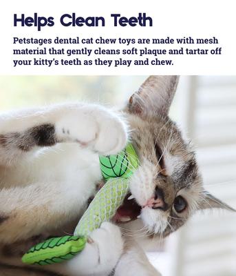 Show full view: Catstages Fresh Breath Mint Stick + Dental Kitty Chew Wheel Cat Chew Toy slide 4 of 9