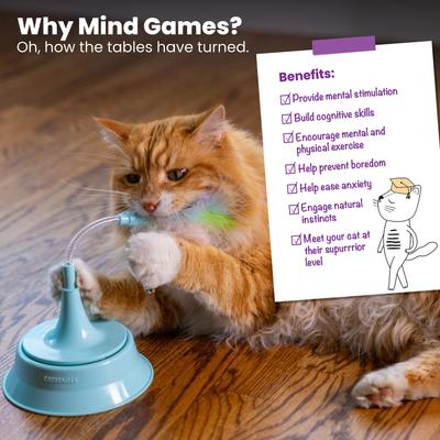 Show full view: Catstages Tower of Tracks Cat Toy & Catstages 2-in-1 Spring Interactive & Topper for Ball Track, Bat & Swat Spring Toy with Feathers & Bells Cat Toy, Blue slide 8 of 10