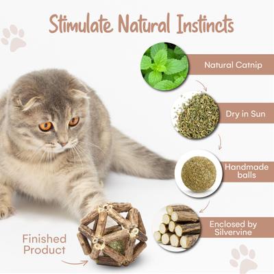 Show full view: CatTwig Silvervine Cage Balls Cat Toy with Catnip slide 5 of 6