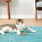 Show in main carousel: CatTwig SilverVine Stick Cat Chew Toy, 6 count slide 4 of 9