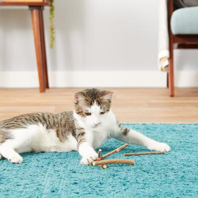 Show full view: CatTwig SilverVine Stick Cat Chew Toy, 6 count slide 4 of 9