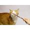 Show in main carousel: CatTwig SilverVine Stick Cat Chew Toy, 6 count slide 5 of 9