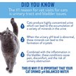 Show in main carousel: CatWater pH Balanced Urinary Support Cat Water, 135.2-oz, 2 count slide 3 of 7
