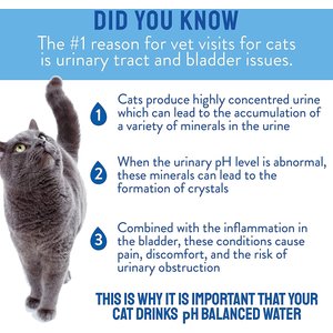 CatWater pH Balanced Urinary Support Cat Water, 135.2-oz, 2 count