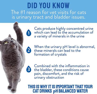CatWater pH Balanced Urinary Support Cat Water