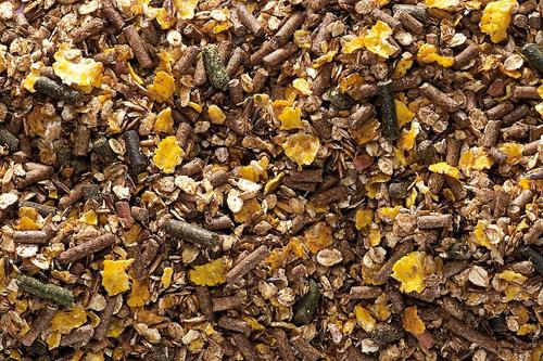 Show full view: Cavalor Action Mix Horse Feed, 48.5-lb bag slide 4 of 4