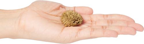 Show full view: Cavalor Crunchies Molasses Free Horse Treats, 3.30-lb bag slide 3 of 4