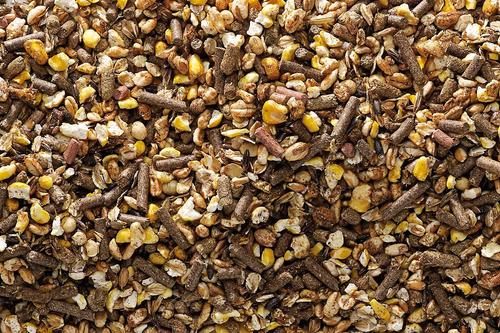 Show full view: Cavalor Juniorix Horse Feed, 44-lb bag slide 4 of 4