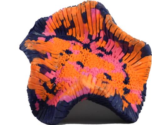 Show full view: CC Pet Brain Corral Reptile Ornament slide 1 of 2