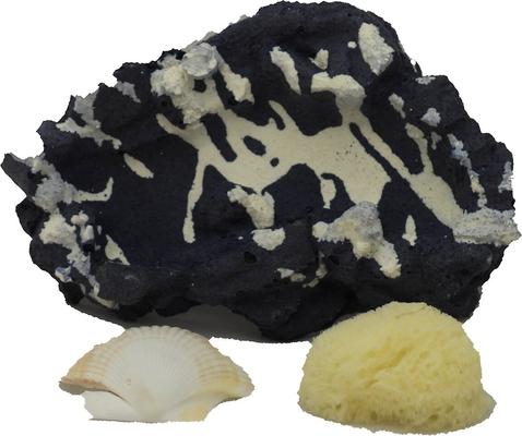 Show full view: CC Pet Hermit Crab Kit slide 2 of 2