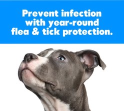 Cedarcide Liquid Dispensing Flea & Tick Dog & Cat Brush slide 2 of 2