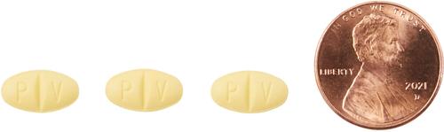 Show full view: Cefpoderm (cefpodoxime proxetil) Tablets for Dogs, 100-mg, 1 tablet slide 4 of 7