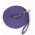 Centaur Cushion Padded Horse Lunge Line, 25-ft