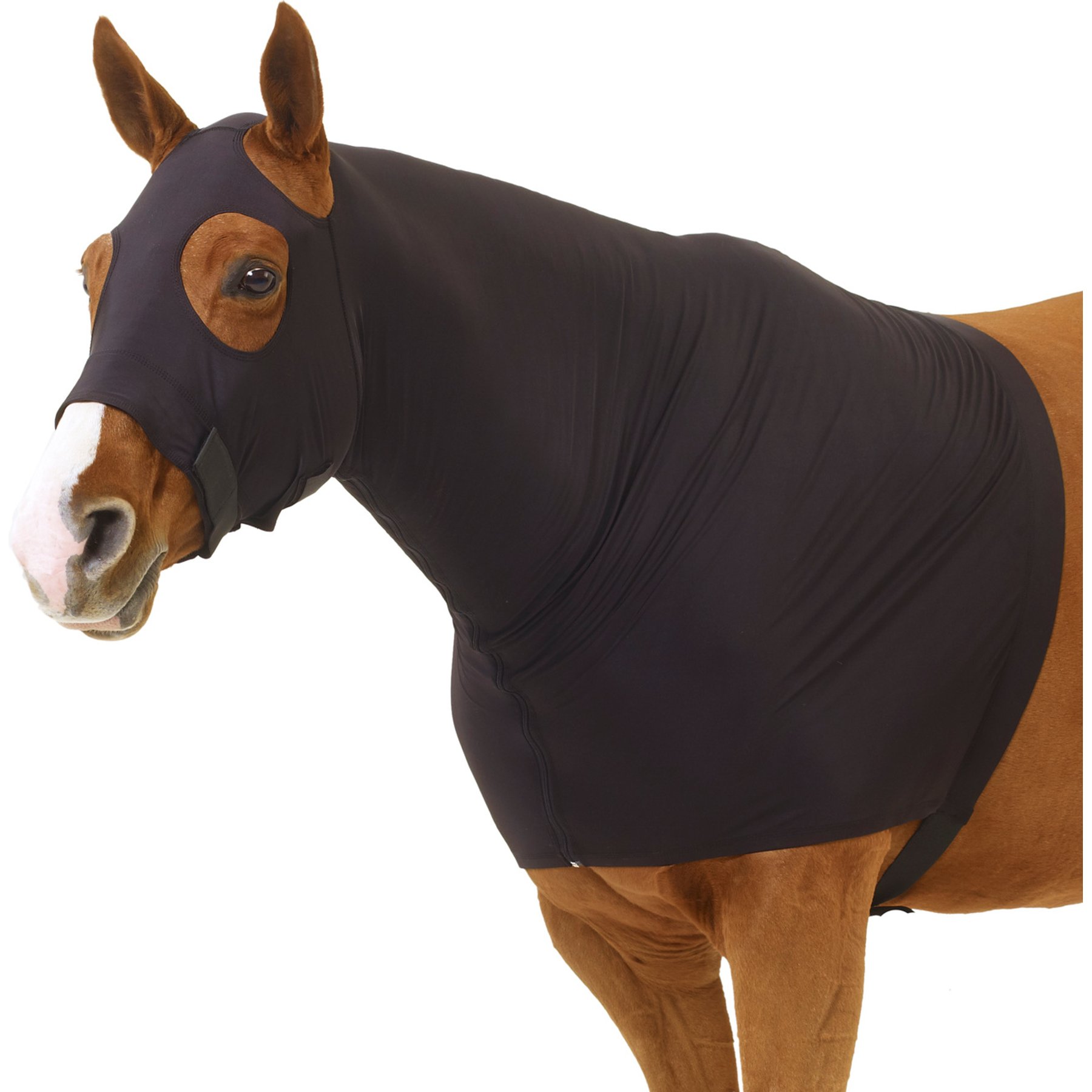 Centaur Spandex Zip Horse Blanket Hood, Black, Large Horse: 81 to 84