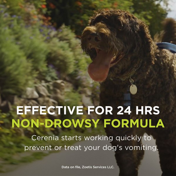 Show full view: Cerenia (Maropitant Citrate) Tablets for Dogs, 60-mg, 4 tablets slide 5 of 10