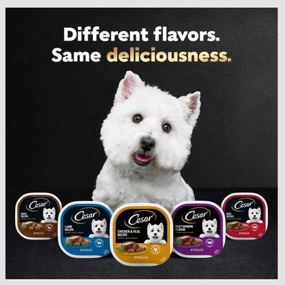 Show full view: Cesar Breakfast Classic Loaf in Sauce Variety Pack Small Breed Adult Wet Dog Food Trays, 3.5-oz, case of 12 slide 9 of 12