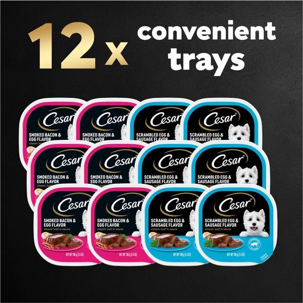 Cesar Breakfast Classic Loaf in Sauce Variety Pack Small Breed Adult Wet Dog Food Trays