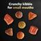 Show in main carousel: Cesar Classic Loaf in Sauce Beef Recipe, Filet Mignon, Grilled Chicken, & Porterhouse Steak Flavors Variety Pack Food Trays + Filet Mignon Flavor & Spring Vegetables Garnish Dry Dog Food slide 8 of 10
