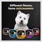Show in main carousel: Cesar Classic Loaf in Sauce Beef Recipe, Filet Mignon, Grilled Chicken & Porterhouse Steak Flavors Variety Pack Grain-Free Small Breed Adult Wet Dog Food Trays, 3.5-oz, case of 24 slide 9 of 12