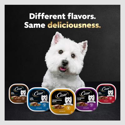 Show full view: Cesar Classic Loaf in Sauce Beef Recipe, Filet Mignon, Grilled Chicken & Porterhouse Steak Flavors Variety Pack Grain-Free Small Breed Adult Wet Dog Food Trays, 3.5-oz, case of 24 slide 9 of 12