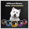 Show in main carousel: Cesar Classic Loaf in Sauce Beef Recipe Grain-Free Small Breed Adult Wet Dog Food, 3.5-oz, case of 24 slide 9 of 12
