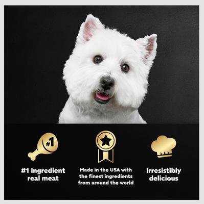 Show full view: Cesar Classic Loaf in Sauce Breakfast & Dinner Mealtime Variety Pack Grain-Free Small Breed Adult Wet Dog Food Trays, 3.5-oz, case of 12 slide 6 of 12