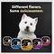Show in main carousel: Cesar Classic Loaf in Sauce Breakfast & Dinner Mealtime Variety Pack Grain-Free Small Breed Adult Wet Dog Food Trays, 3.5-oz, case of 12 slide 9 of 12