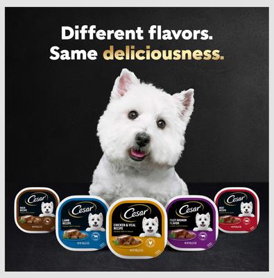 Show full view: Cesar Classic Loaf in Sauce Chicken & Liver Recipe Grain-Free Small Breed Adult Wet Dog Food Trays, 3.5-oz, case of 24 slide 9 of 12