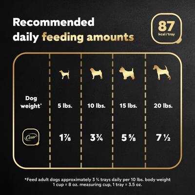 Show full view: Cesar Classic Loaf in Sauce Chicken & Veal Recipe Small Breed Wet Dog Food, 3.5-oz, case of 24 slide 8 of 12