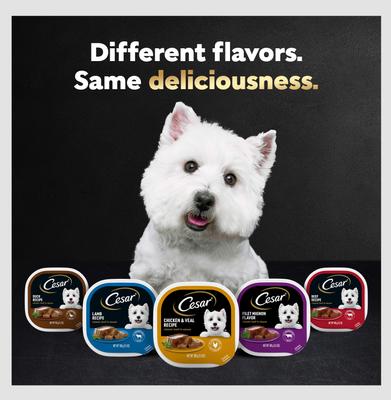 Show full view: Cesar Classic Loaf in Sauce Duck Recipe Dog Food Trays, 3.5-oz, case of 24 slide 9 of 12