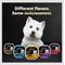 Show in main carousel: Cesar Classic Loaf in Sauce Filet Mignon Flavor Grain-Free Small Breed Adult Wet Dog Food Trays, 3.5-oz, case of 24 slide 9 of 12