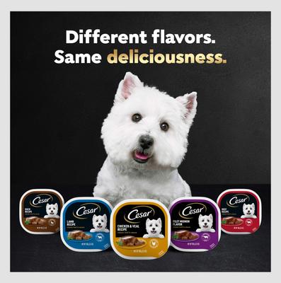 Show full view: Cesar Classic Loaf in Sauce Filet Mignon Flavor Grain-Free Small Breed Adult Wet Dog Food Trays, 3.5-oz, case of 24 slide 9 of 12