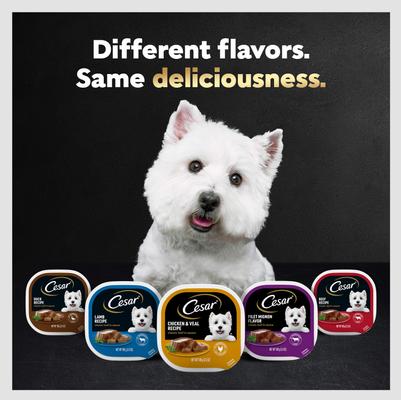 Show full view: Cesar Classic Loaf in Sauce Filet Mignon & Porterhouse Steak Flavors Variety Pack Grain-Free Small Breed Adult Wet Dog Food Trays, 3.5-oz, case of 12 slide 9 of 12