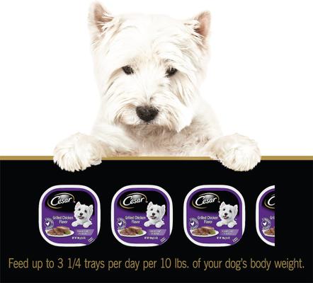 Show full view: Cesar Classic Loaf in Sauce Grilled Chicken Flavor Dog Food Trays, 3.5-oz tray, bundle of 48  slide 8 of 12