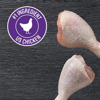 Show full view: Cesar Classic Loaf in Sauce Grilled Chicken Flavor Dog Food Trays, 3.5-oz tray, bundle of 48  slide 9 of 12