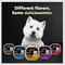 Show in main carousel: Cesar Classic Loaf in Sauce Grilled Steak & Eggs Flavor Small Breed Adult Wet Dog Food Trays, 3.5-oz, case of 24 slide 9 of 12