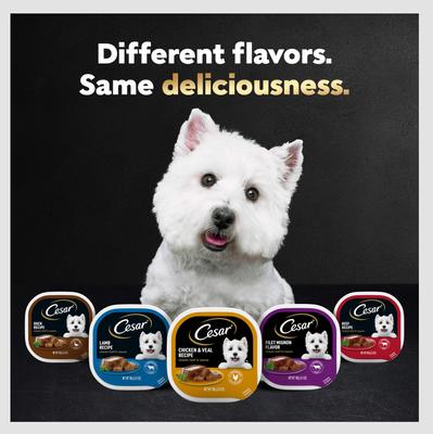 Show full view: Cesar Classic Loaf in Sauce Grilled Steak & Eggs Flavor Small Breed Adult Wet Dog Food Trays, 3.5-oz, case of 24 slide 9 of 12