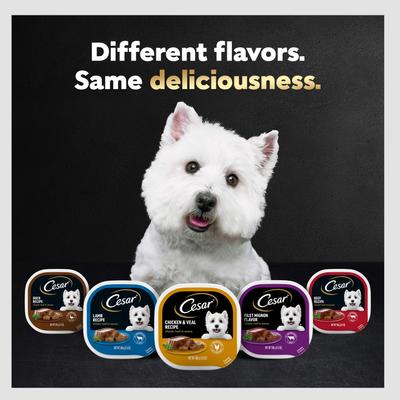 Show full view: Cesar Classic Loaf in Sauce Lamb Recipe Grain-Free Small Breed Adult Wet Dog Food Trays, 3.5-oz, case of 24 slide 9 of 12