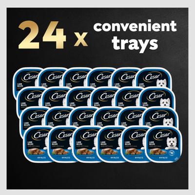 Show full view: Cesar Classic Loaf in Sauce Lamb Recipe Grain-Free Small Breed Adult Wet Dog Food Trays, 3.5-oz, case of 24 slide 10 of 12