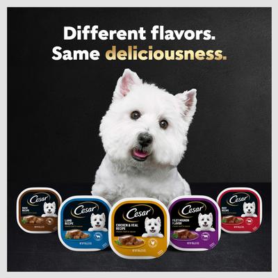 Show full view: Cesar Classic Loaf in Sauce Porterhouse Steak Flavor Grain-Free Small Breed Adult Wet Dog Food Trays, 3.5-oz, case of 24 slide 9 of 12