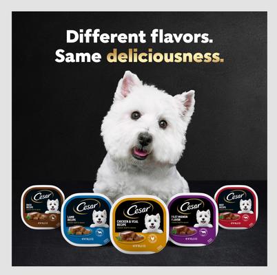 Show full view: Cesar Classic Loaf in Sauce Smoked Bacon & Egg Flavor Grain-Free Small Breed Adult Wet Dog Food Trays, 3.5-oz, case of 24 slide 9 of 12