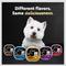 Show in main carousel: Cesar Classic Loaf in Sauce Top Sirloin Flavor Small Breed Adult Wet Dog Food Trays, 3.5-oz, case of 24 slide 9 of 12